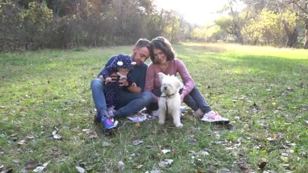 Οικογένεια Ένα Σκύλο Στο Δάσος Του Φθινοπώρου — Αρχείο Βίντεο