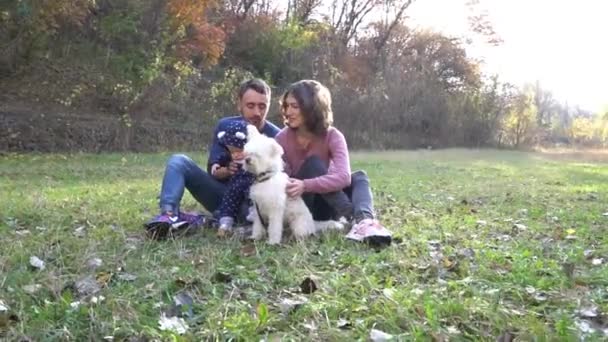 Happy Family Having Fun Dog Outdoors — Stock Video