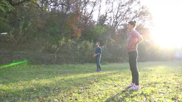 Pomalý Pohyb Skupina Přátel Hraje Frisbee Parku — Stock video