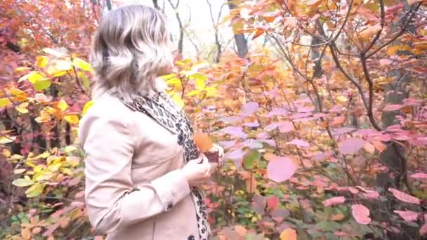 Pretty Kobieta Jest Pozowanie Bandą Liści Klonu Jesiennym Parku — Wideo stockowe