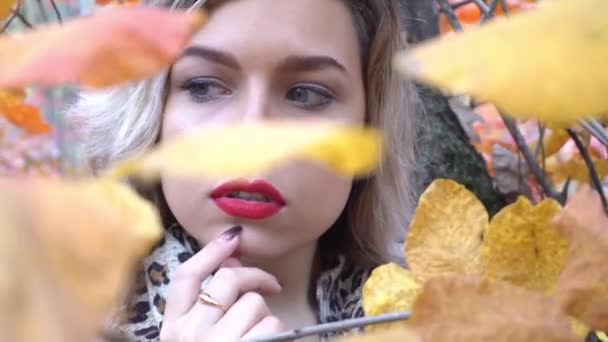 Zbliżenie Portret Pięknej Dziewczyny Stojącej Pobliżu Kolorowych Jesiennych Liści — Wideo stockowe