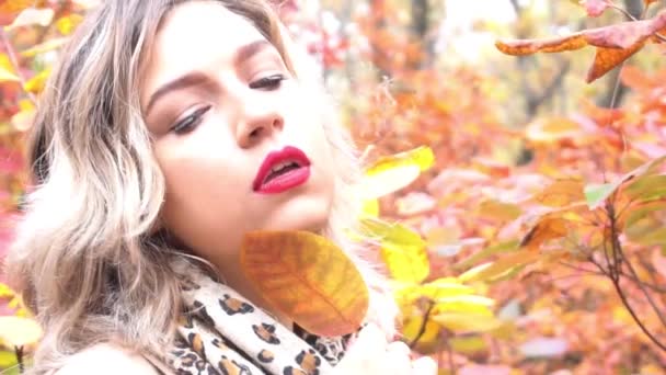 Slow Motion Portrait Woman Smiling Nature Autumn Trees Leaves — Stockvideo