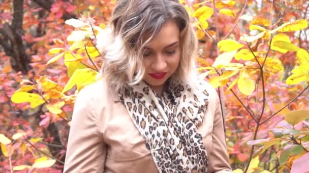 Slow Motion Beautiful Autumn Woman Autumn Leaves Fall Nature Background — Stockvideo
