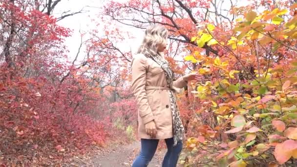 美丽的高加索金发女人独自呆着 在阳光灿烂的秋日里散步 周围长满了黄色的树和树叶 — 图库视频影像