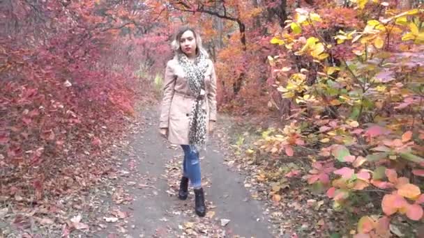 Woman Goes Distance Autumn Alley Park — Video Stock