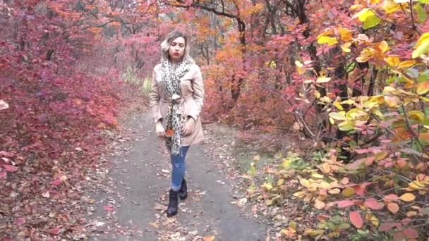 Slow Motion Beauty Romantic Girl Outdoors Enjoying Nature — Video Stock