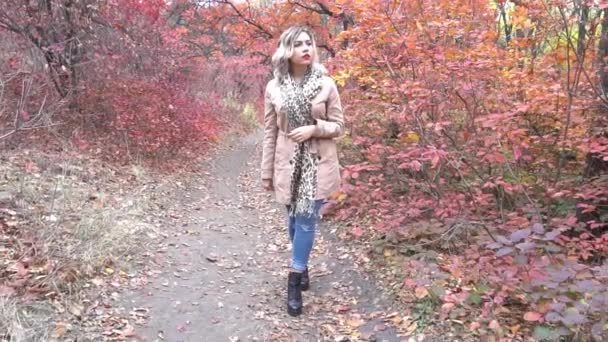 Slow Motion Happy Pretty Blonde Girl Walking Autumn Park — Stock Video