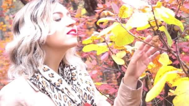 Медленное Движение Красивая Улыбающаяся Женщина Осеннем Парке — стоковое видео