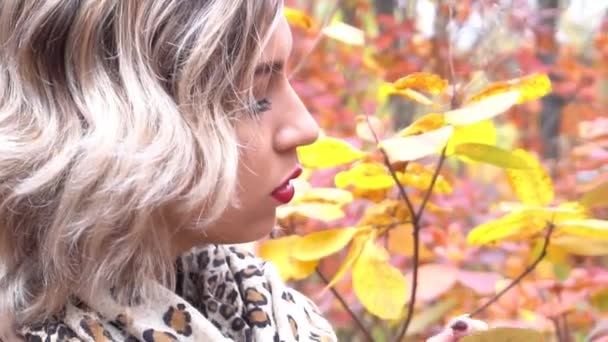 Autumn Concept Blonde Woman Cover Face Yellow Maple Tree Leaves — Video Stock