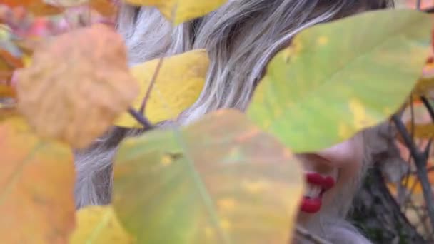 Young Pretty Girl Portrait Yellow Mapple Leaf Closed Face — Video Stock
