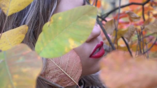 Slow Motion Young Pretty Girl Portrait Yellow Mapple Leaf Closed — Stockvideo