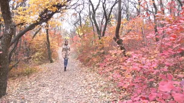 Autumn Walk Woman Portrait — Vídeo de Stock