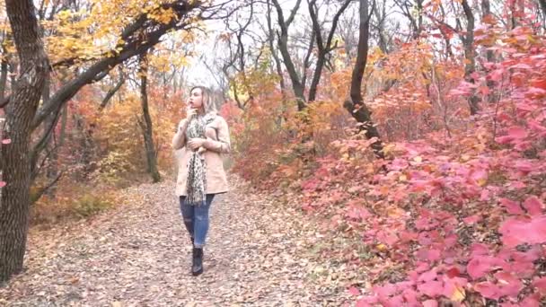 Mulher Movimento Lento Vai Para Distância Longo Beco Outono Parque — Vídeo de Stock