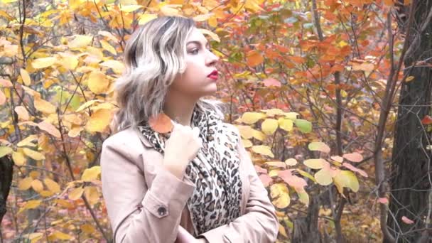 Pomalý Pohyb Krásná Elegantní Žena Stojící Parku Podzim — Stock video