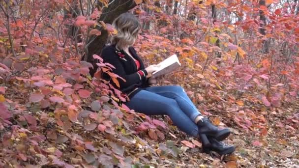 Νεαρή Όμορφη Γυναίκα Στο Φύλλο Του Φθινοπώρου Κάθεται Και Διαβάζοντας — Αρχείο Βίντεο