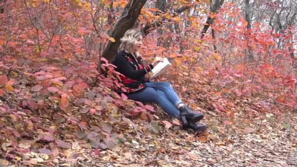 Романтична Мрійлива Дівчина Читає Книгу Відкритому Повітрі — стокове відео