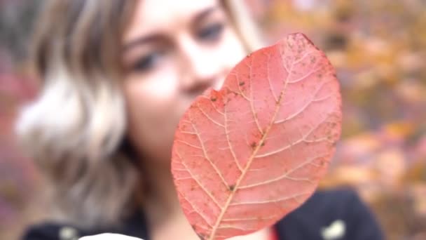 Slow Motion Beautiful Young Girl Yellow Autumn Leaf — Stockvideo