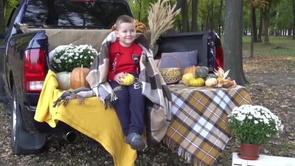 Child Boy Playing Pumpkins Farm Outdoors — Video