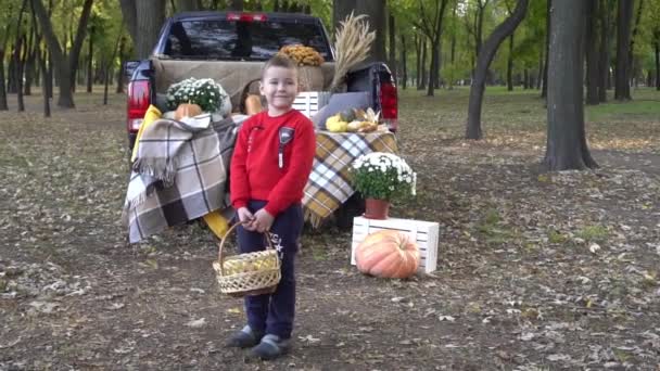 Boy Sitting Back Car Holding Pumpkins Autumn — Wideo stockowe