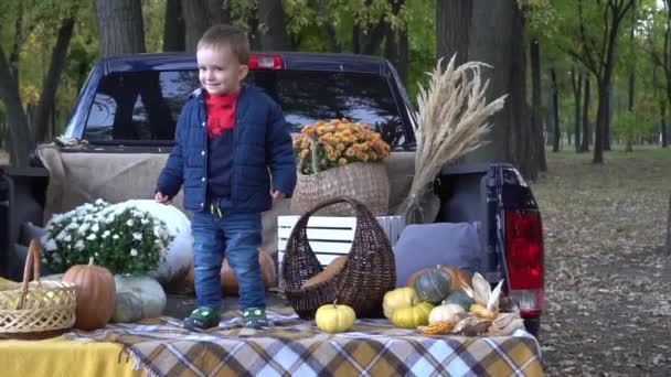 Rodzina Dynią Jesiennym Lesie — Wideo stockowe