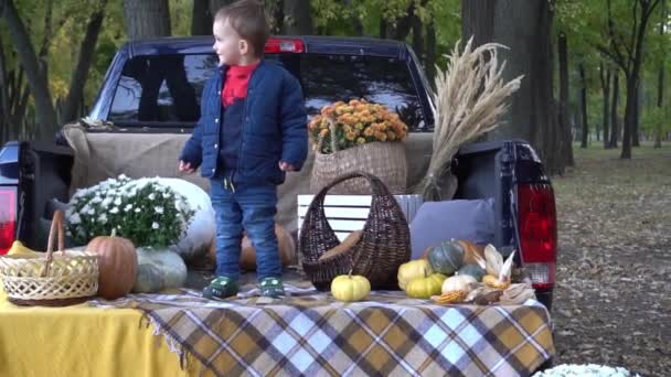 Slow Motion Portrait Boy Halloween Pumpkin Carving — Vídeo de stock