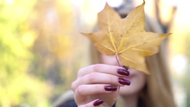 Beautiful Romantic Blonde Golden Autumn Leaf — Stock Video