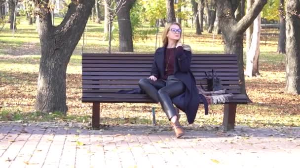 Slow Motion Elegant Stylish Girl Autumn Park — Vídeo de Stock