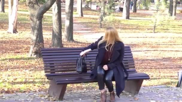 Медленное Движение Женщина Читает Книгу Скамейке Парке Досуг Осеннем Парке — стоковое видео