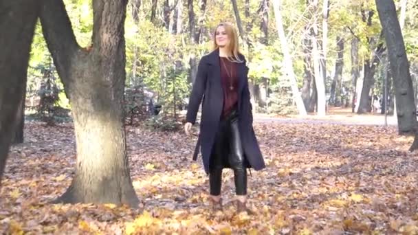 공원에 야외에서 여자의 초상화 — 비디오