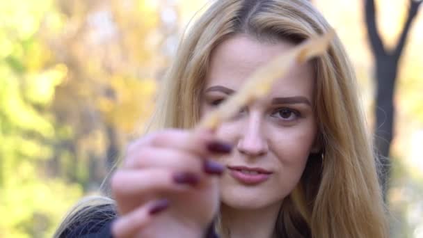 Slow Motion Beautiful Girl Yellow Maple Leaf Autumn Portrait Autumn — Video