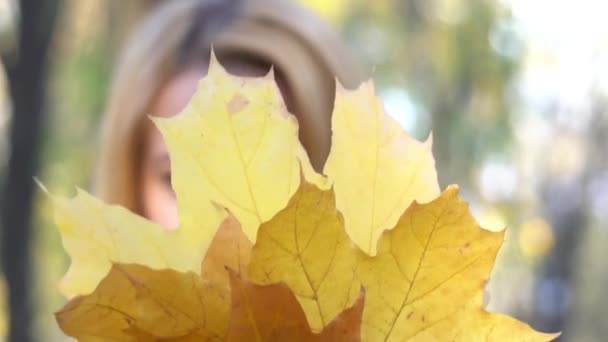 Beautiful Girl Long Blonde Hair Posing Autumn Park Female Autumn — Video Stock