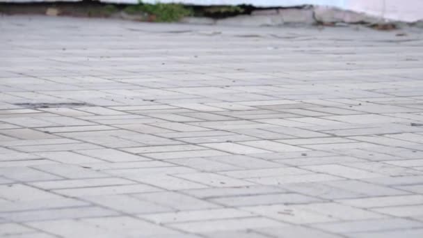 Жінка Ноги Йдуть Нагору Вулиці — стокове відео