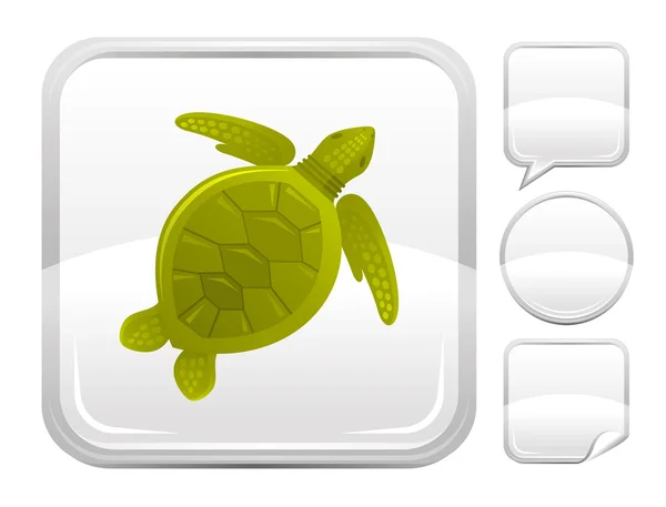 Tengeri nyári strand és utazási ikon a tengeri teknős a téren háttér és más üres gomb formák-beszélő buborék, kör, matrica — Stock Vector