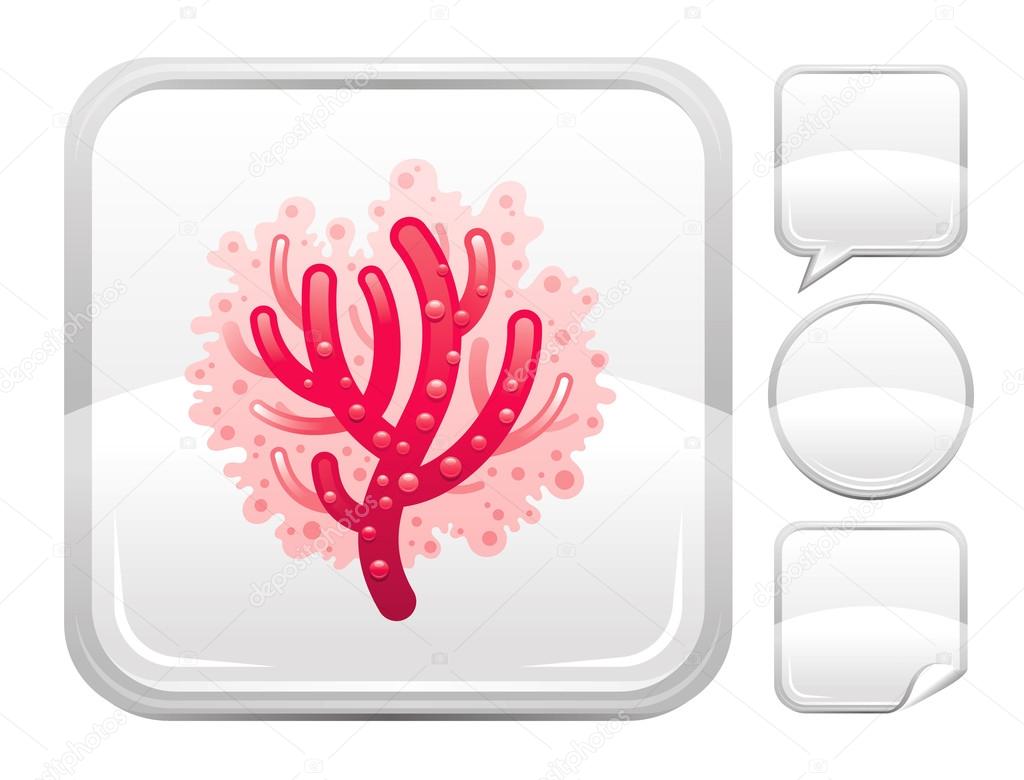 Sea summer beach and travel icon with sea coral on square background and other blank button forms - speaking bubble, circle, sticker