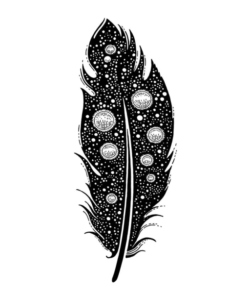 Feather Vector Tattoo Bird Feather Black Icon Silhouette Universe Design — Vector de stock