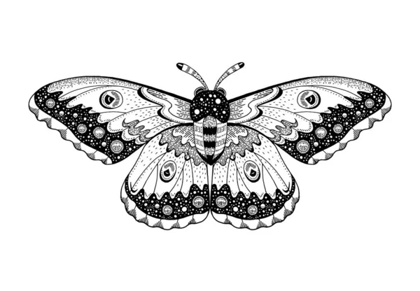 Moth Tattoo Butterfly Vector Black Art Universe Wing Moth Celestial — Vector de stock