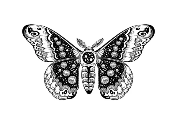 Moth Tattoo Butterfly Vector Black Art Universe Wing Moth Celestial — Stock vektor