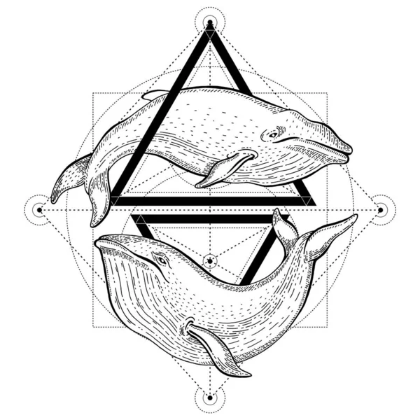 Blue Whale Tattoo Geometric Vector Illustration Triangles Sea Animals Sketch — Image vectorielle