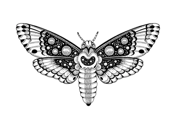 Moth Tattoo Butterfly Vector Black Art Universe Wing Moth Celestial Stok Ilustrasi Bebas Royalti