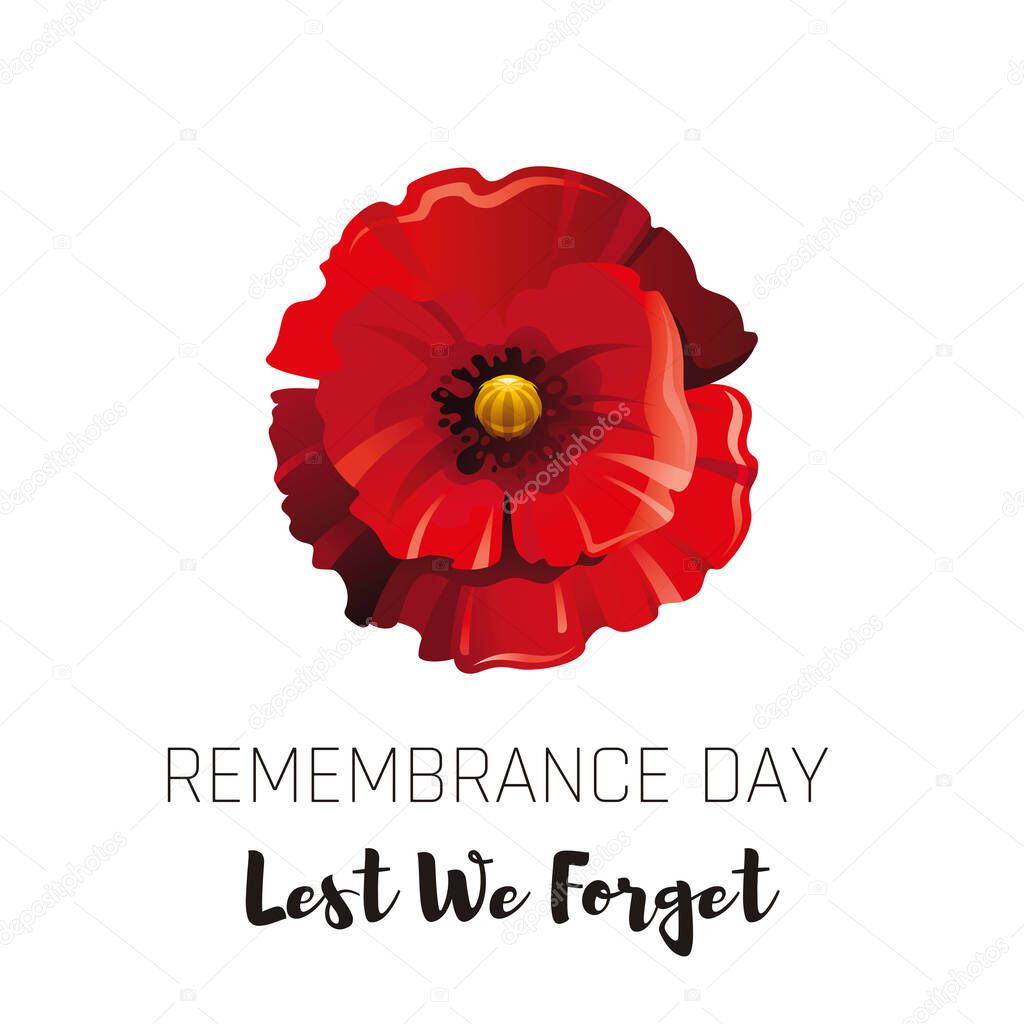 Vector illustration eps10, isolated background. Realistic red poppy flower symbol, 3d remembrance day November 11 poster with Lest we forget text. Flat anniversary memory banner.