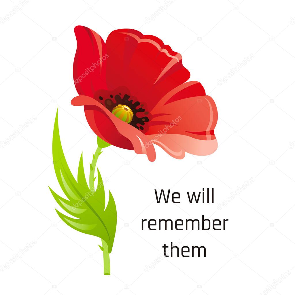 Vector illustration eps10, isolated background. Realistic red poppy flower symbol, 3d remembrance day November 11 poster with We will remember them text. Flat anniversary memory banner.
