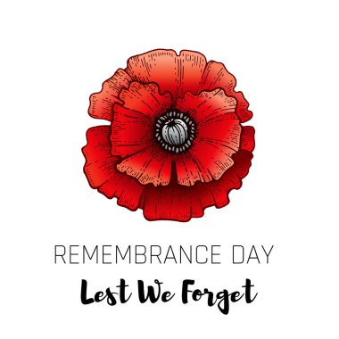 Anma günü. Poppy 'nin yanında. Mesajı unutmayalım. Ateşkes Anıtı ve Anzak geçmişi. Dünya Savaşı anıtı için çiçek illüstrasyonu. 11 Kasım posteri. Kanada, Avustralya kırmızı haşhaş pankartı