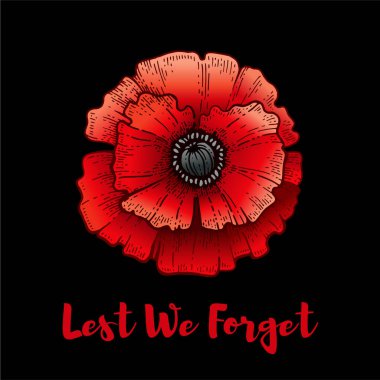Anma günü. Poppy 'nin yanında. Mesajı unutmayalım. Ateşkes Anıtı ve Anzak geçmişi. Dünya Savaşı anıtı için çiçek illüstrasyonu. 11 Kasım posteri. Kanada, Avustralya kırmızı haşhaş pankartı