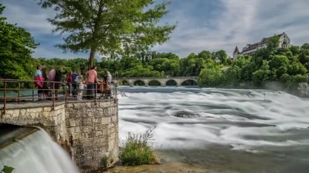 Rheinfall 瀑布瑞士，游戏中时光倒流 — 图库视频影像