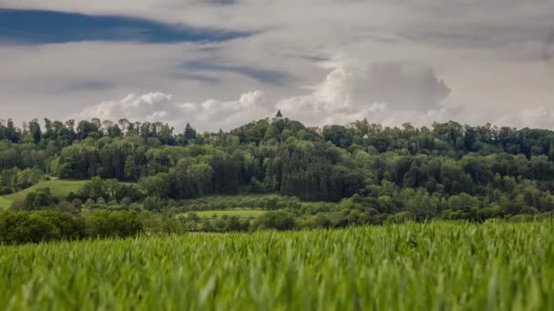 Clouds tváření nad pole Timelapse — Stock video