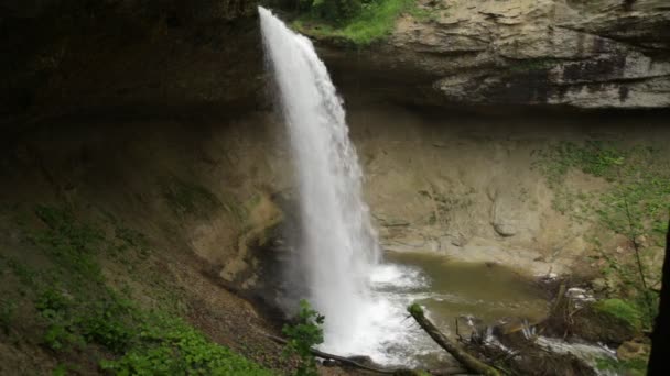 RAW Footage - Scheidegger Waterfalls, Allgaeu, southern Germany, Bavaria — 图库视频影像