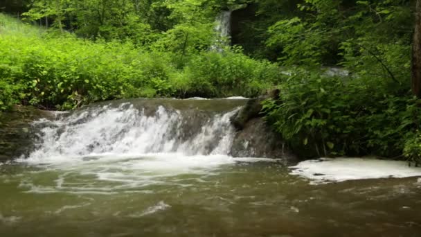 След - водопад Федеггер, Альгеу, южная Германия, Бавария — стоковое видео