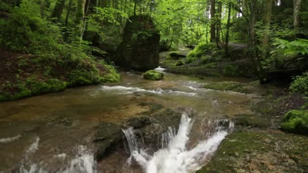 RAW-kuvamateriaali - Scheidegger Waterfalls, Allgaeu, Etelä-Saksa, Baijeri — kuvapankkivideo