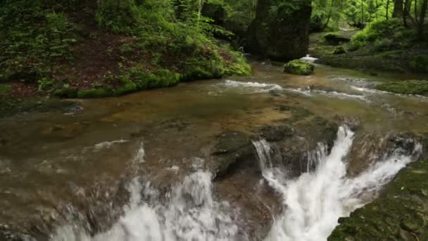 RAW Footage - Scheidegger Waterfalls, Allgaeu, southern Germany, Bavaria — Stockvideo