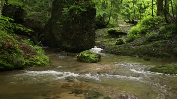 RAW Footage - Scheidegger Waterfalls, Allgaeu, southern Germany, Bavaria — Αρχείο Βίντεο